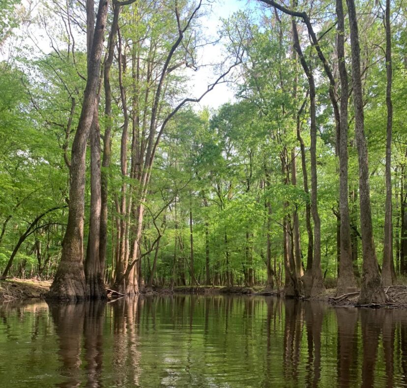Even a bad day of fishing here is still a pretty good day.