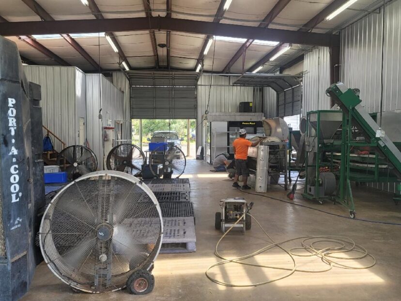 Inside the packing/shelling facility.