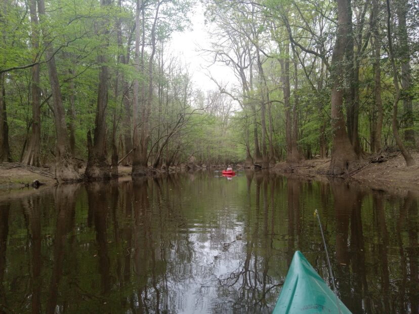 Justin is doing some kayak fishing on the Cedar Creek in the Congaree National Park.