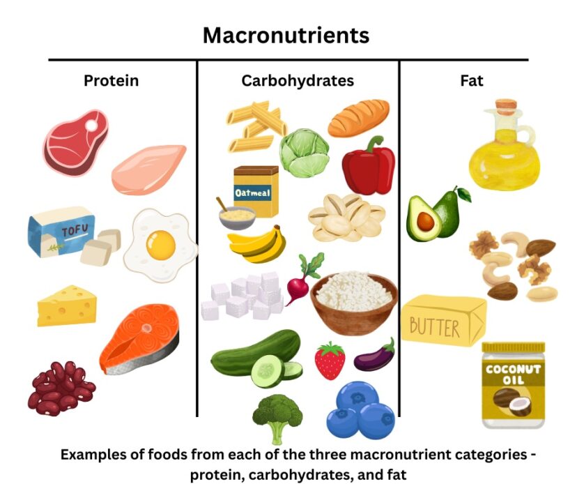 Macronutrient categories.