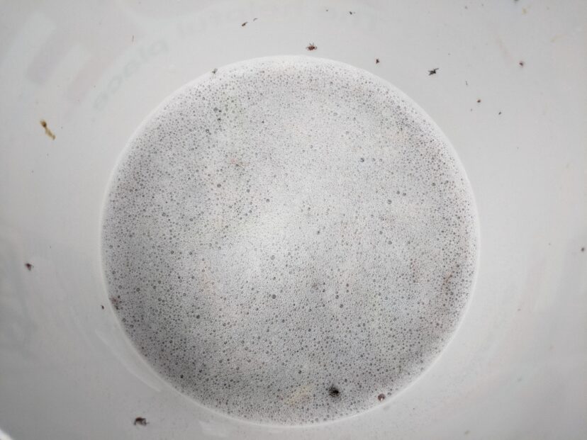 Many garden pests can be controlled by sweeping insects into a bucket of soapy water.
