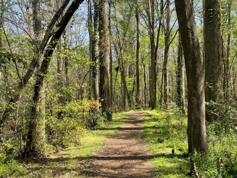 "Walking on trails is a great way to increase physical activity while enjoying scenery".