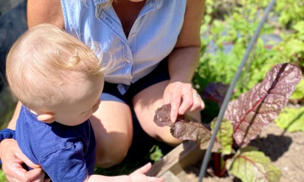 Growing Healthier Families Through Home Gardening