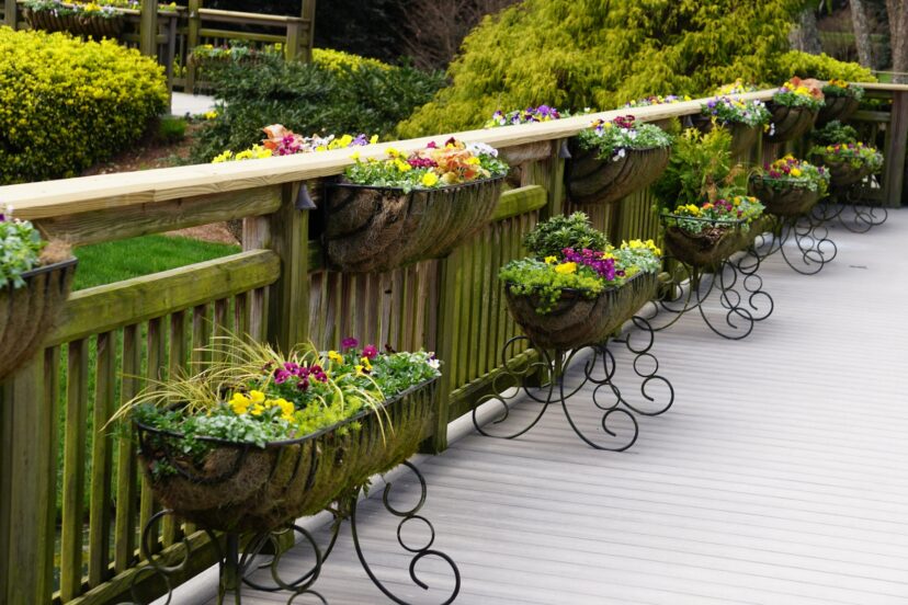 Hayracks planted with pansies, violas,and colorful foliage
