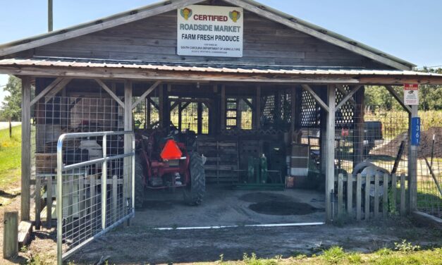 Grower Spotlight – Jebali Farms