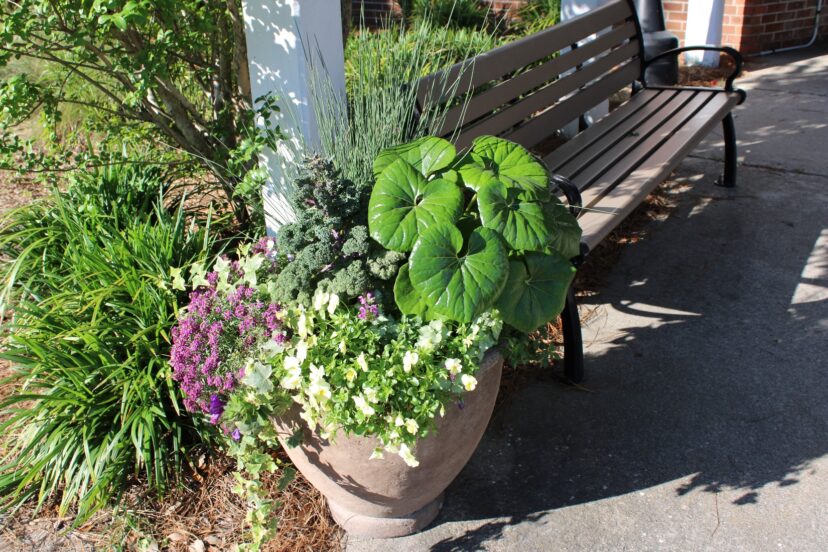 The tractor seat plant 