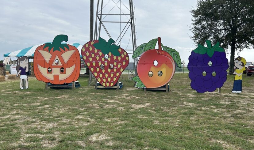 Visitors enjoy family-friendly events at McLeod Farms in McBee, South Carolina.