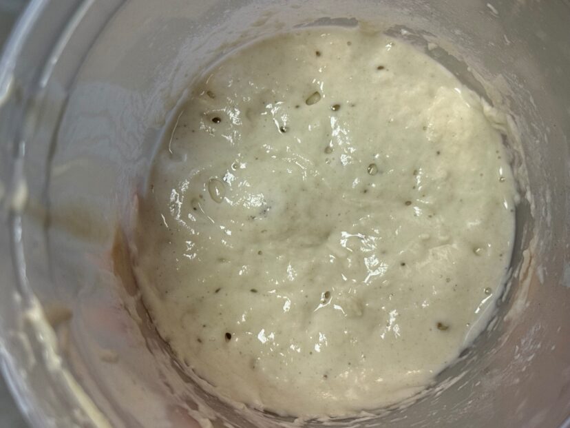 Fermenting Sourdough Starter.