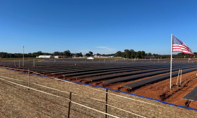 South Carolina Fruit and Vegetable Field Report – October 27, 2025