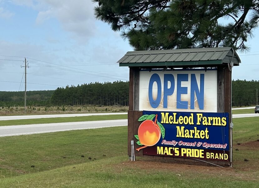 McLeod Farms Market is located at 29247 Hwy 151, McBee, SC 29101.