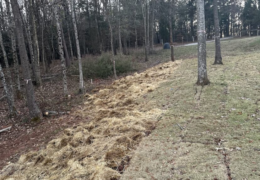 Zoysia sod was laid, and straw was added to help maintain the slope during the winter months, preventing erosion.