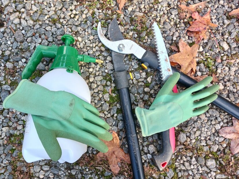 “Loppers and pruning saws beside a spray bottle used for herbicide application.”
