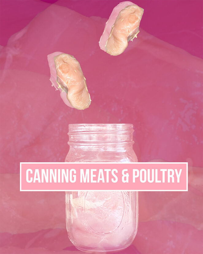 chicken breast in jars