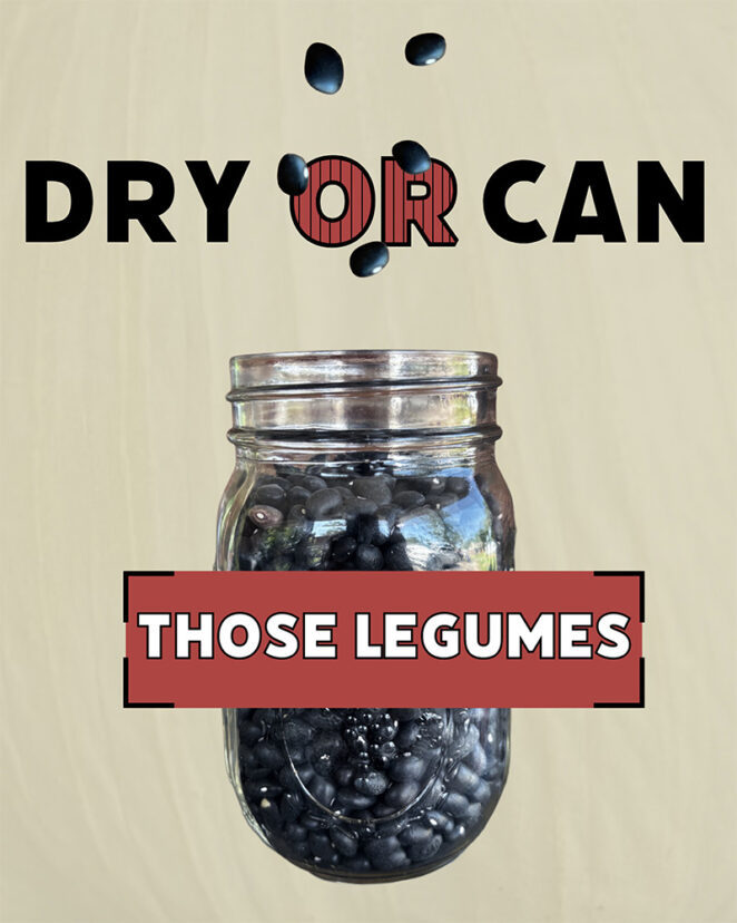 jars of beans