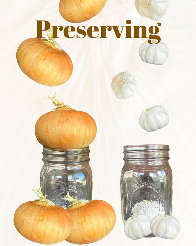 onions in jar