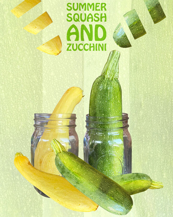 squash and zucchini in jar