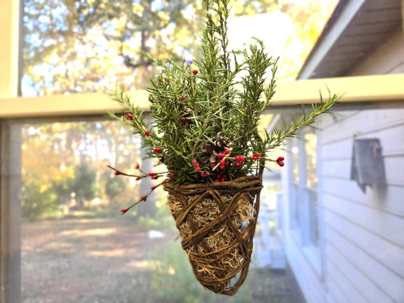“Close-up of rosemary herb basket with greenery and red accents.”