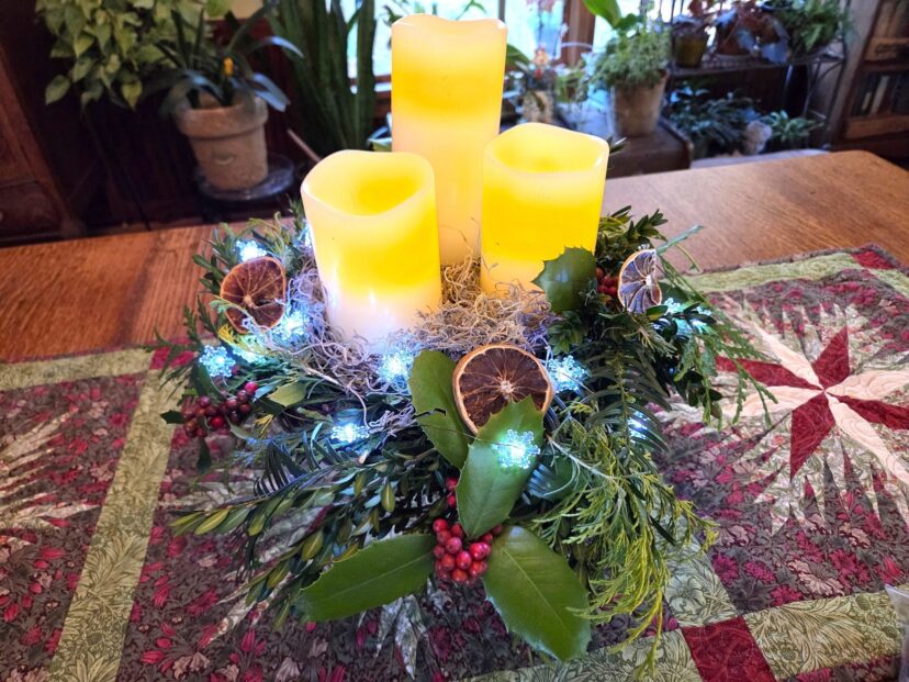“Dried orange slices, LED candles, and string lights adding a warm glow to a holiday display.”