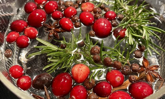 Fresh simmer pot with cranberries, rosemary, cinnamon stick, and whole spices on a stovetop.