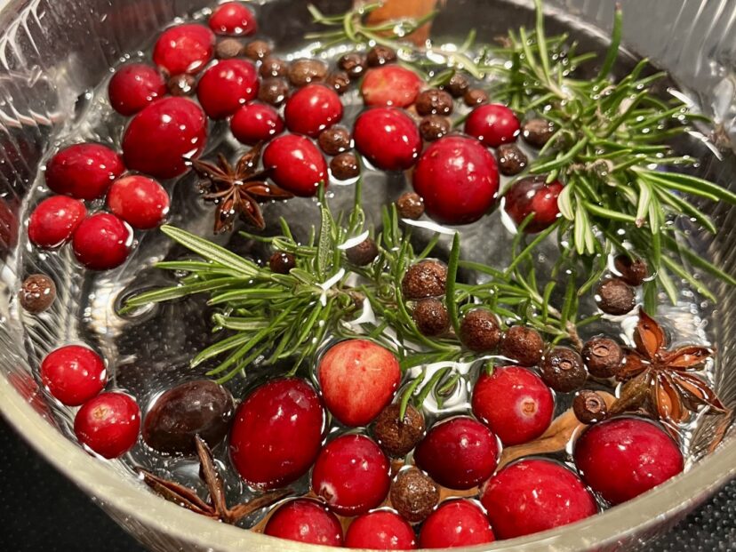Fresh simmer pot with cranberries, rosemary, cinnamon stick, and whole spices on a stovetop.