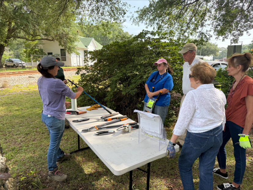 A Clemson Extension instructor demonstrates how to use pruning tools at an outdoor table while a small group of adult learners observes during a Home Horticulture Foundations field day.