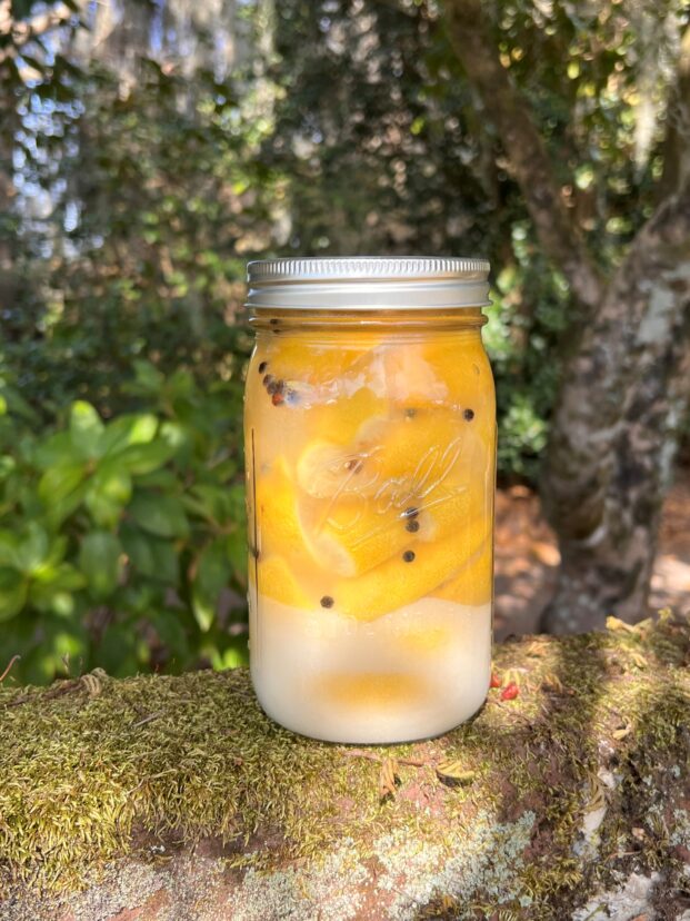 A sealed glass jar filled with preserved lemons submerged in brine after fermentation.