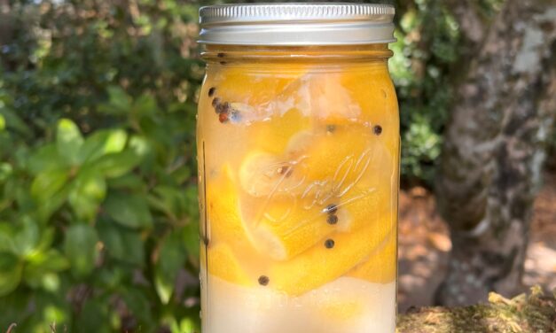 Traditional Preserved Lemons: How to Make and Use Preserved Lemons at Home