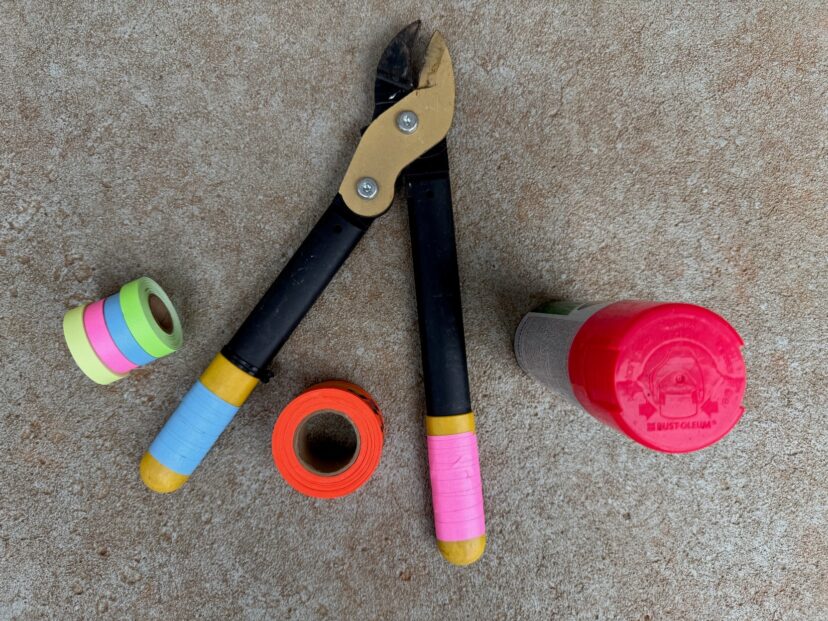 Mark pruning tools with brightly colored label tape, electrical tape, or flagging tape for contrast when left lying in the landscape. Spray paint is also an option. Neon colors, along with blues and pinks, are easy to spot among leaves.