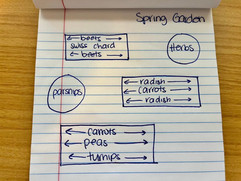 Spring garden beds mapped using companion planting