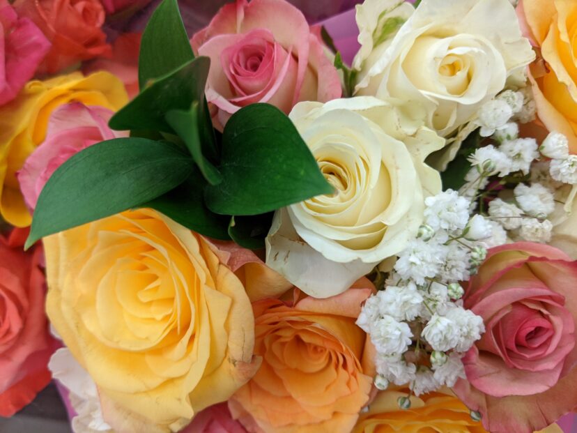 Pink, white, and yellow roses showing different symbolic meanings in floriography.
