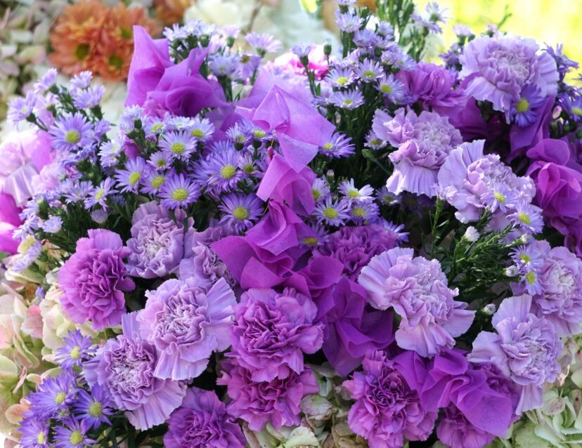 Purple carnations symbolizing whimsical charm and adventurous spirit.