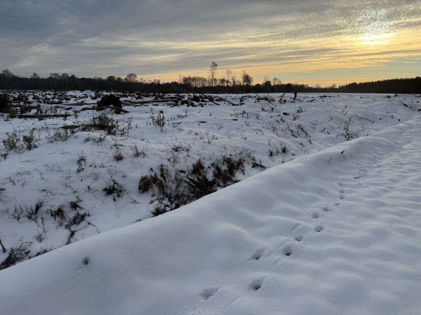 Snow-covered field under a winter sunset sky.