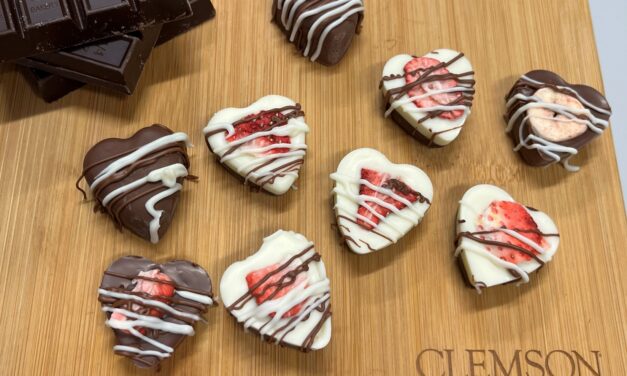 Valentine’s Day Themed Chocolate Strawberry Bark