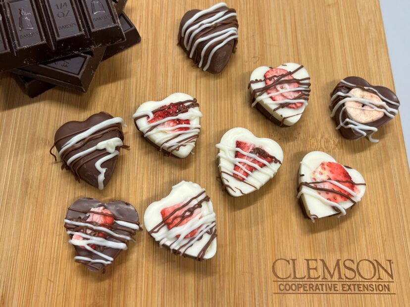 Heart-shaped chocolate strawberry bark bites made with dark and white chocolate and freeze-dried strawberries, displayed on a wooden board engraved with the Clemson Cooperative Extension logo.