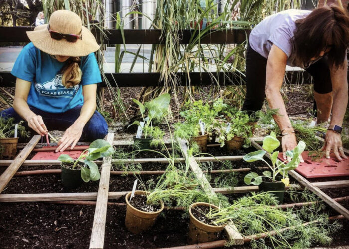 Learn skills for a bountiful vegetable gardening.