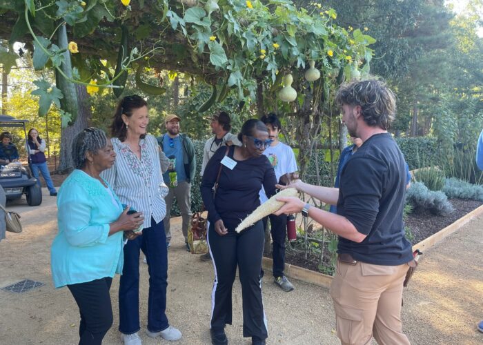 Participants learning about growing gourds and luffa.