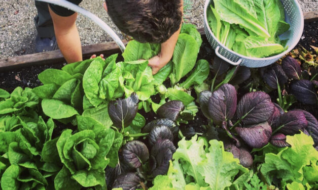 Edible Gardens Start Here with Home Horticulture Foundations: Edibles and Orchards