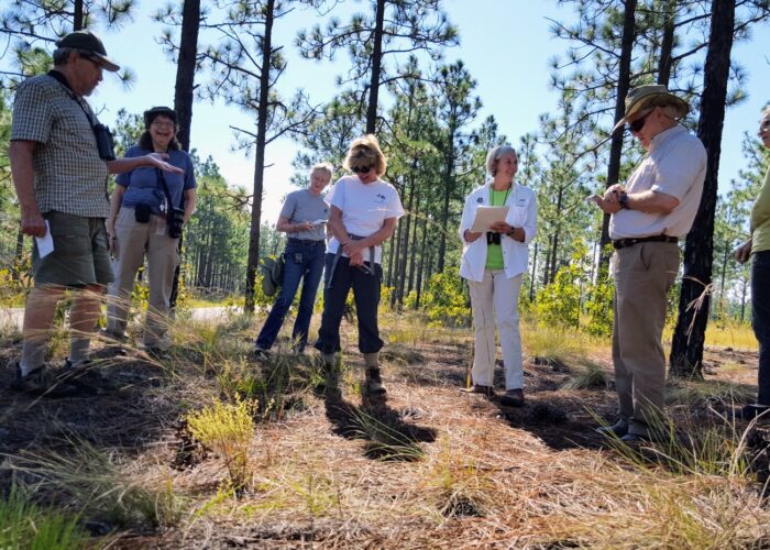 Group of participants standing in an open pine habitat discussing native plant communities and ecosystem features during a field-based class.
