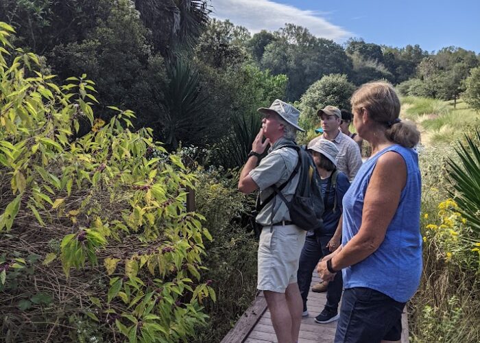 Adult learners standing on a wooden boardwalk examining native coastal plants and shrubs during a South Carolina Native Plant Certificate Program field class.