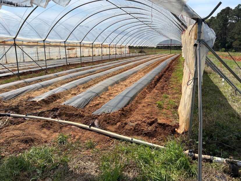 Drip irrigation system used for in-line fumigation inside a high tunnel