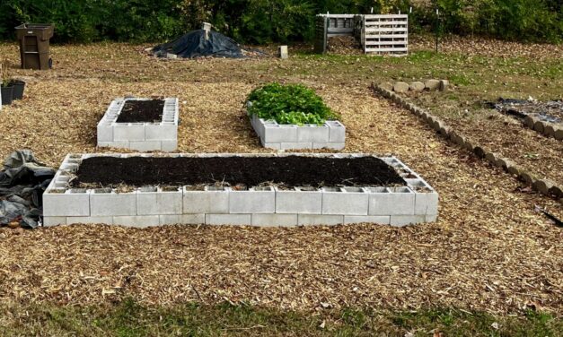Spring Garden Preparation: How to Prepare Garden Beds for Spring Planting