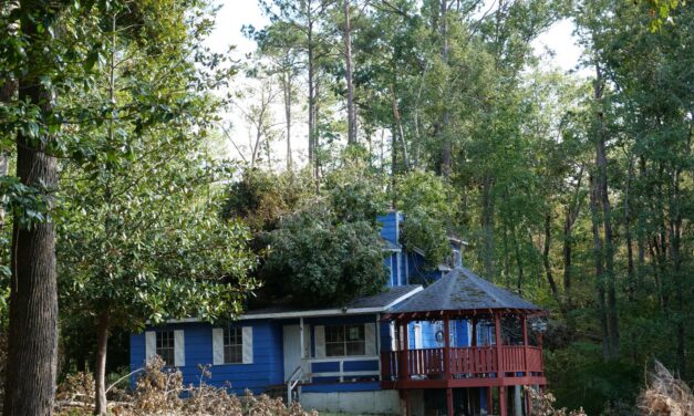 Large mature trees growing close to a home, demonstrating potential hurricane risk from trees within striking distance of structures.