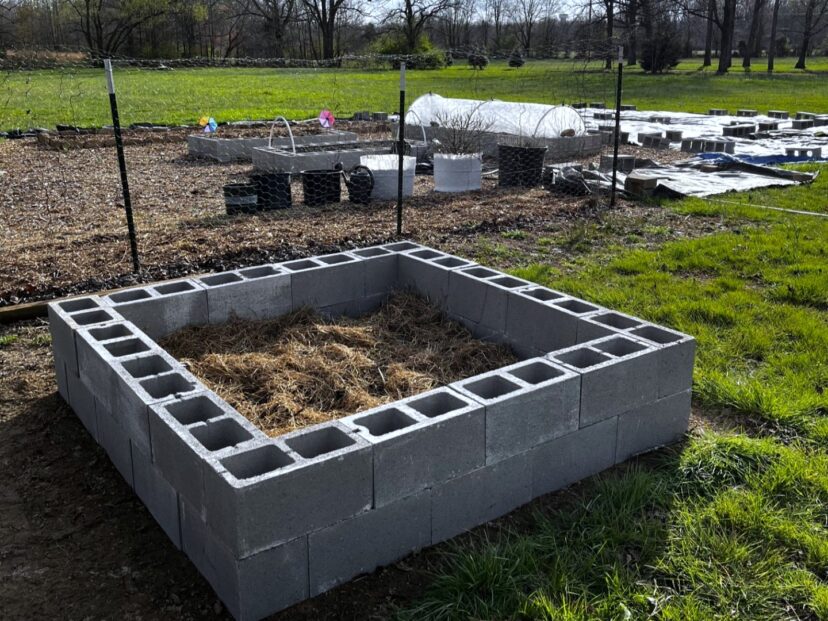 Raised garden beds being filled with soil and mulched pathways prepared for spring planting