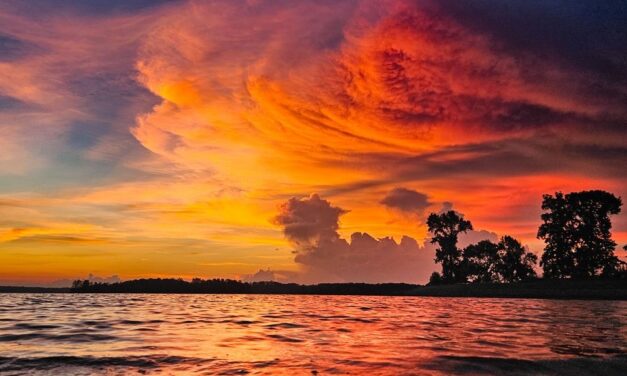 Earth Month Action Guide: Water-Smart Habits You Can Do This April