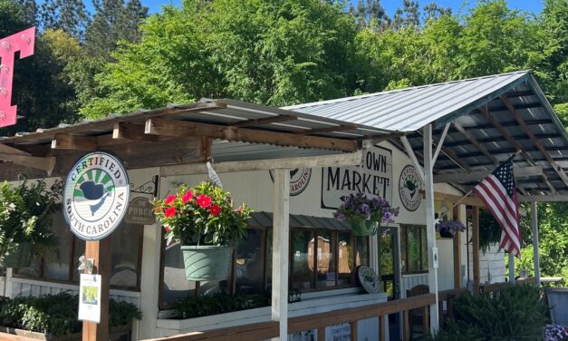 April Seasonal Recipes: Easy Spring Farmers Market Meals with Fresh Ingredients