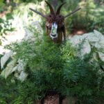 HOW TO GROW AND CARE FOR PORCH FERNS