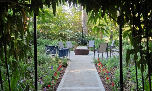 The Evolution of A Garden Space Update