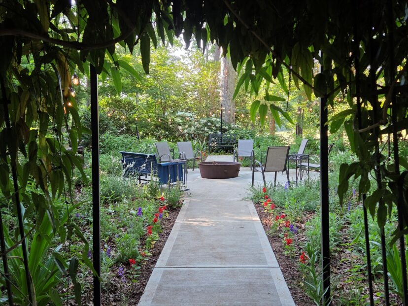Mature Celtic Garden filled with colorful flowers and layered foliage in 2026.