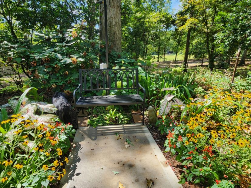 Repeated plantings arranged symmetrically throughout the four quadrants of the Celtic garden.