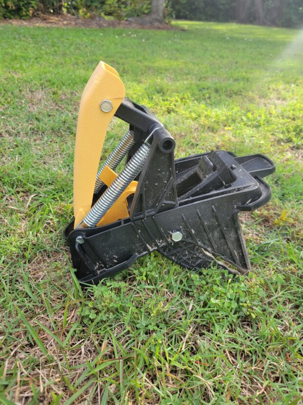 Scissor mole trap installed across a mole tunnel before triggering.